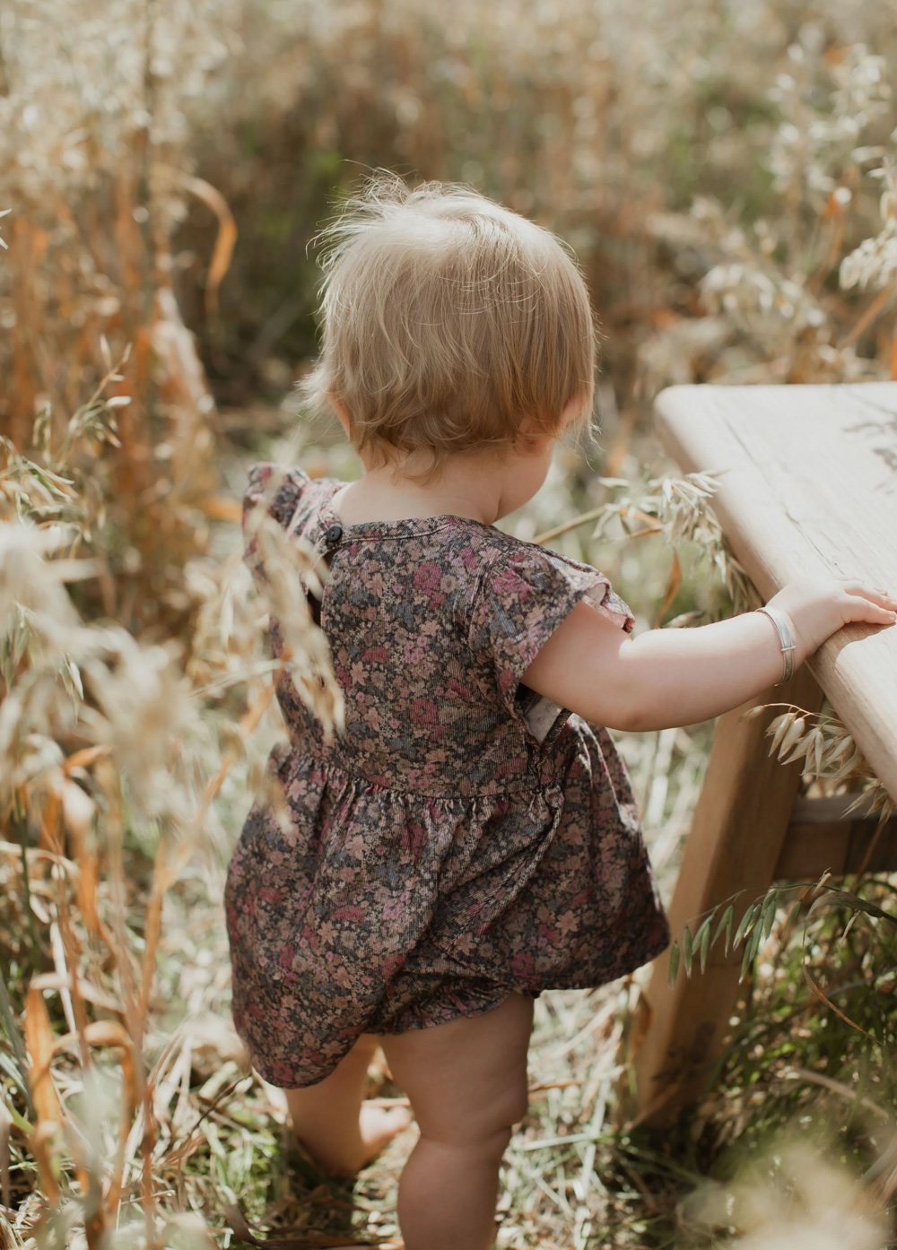 willow-top-wildflower-2